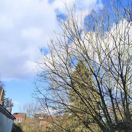 Super #1 Mit Terrasse, #3 Mit Aussicht Und #7 Mit Fernblick Nahe Aachen