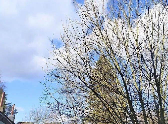 Super #1 Mit Terrasse, #3 Mit Aussicht Und #7 Mit Fernblick Nahe Aachen